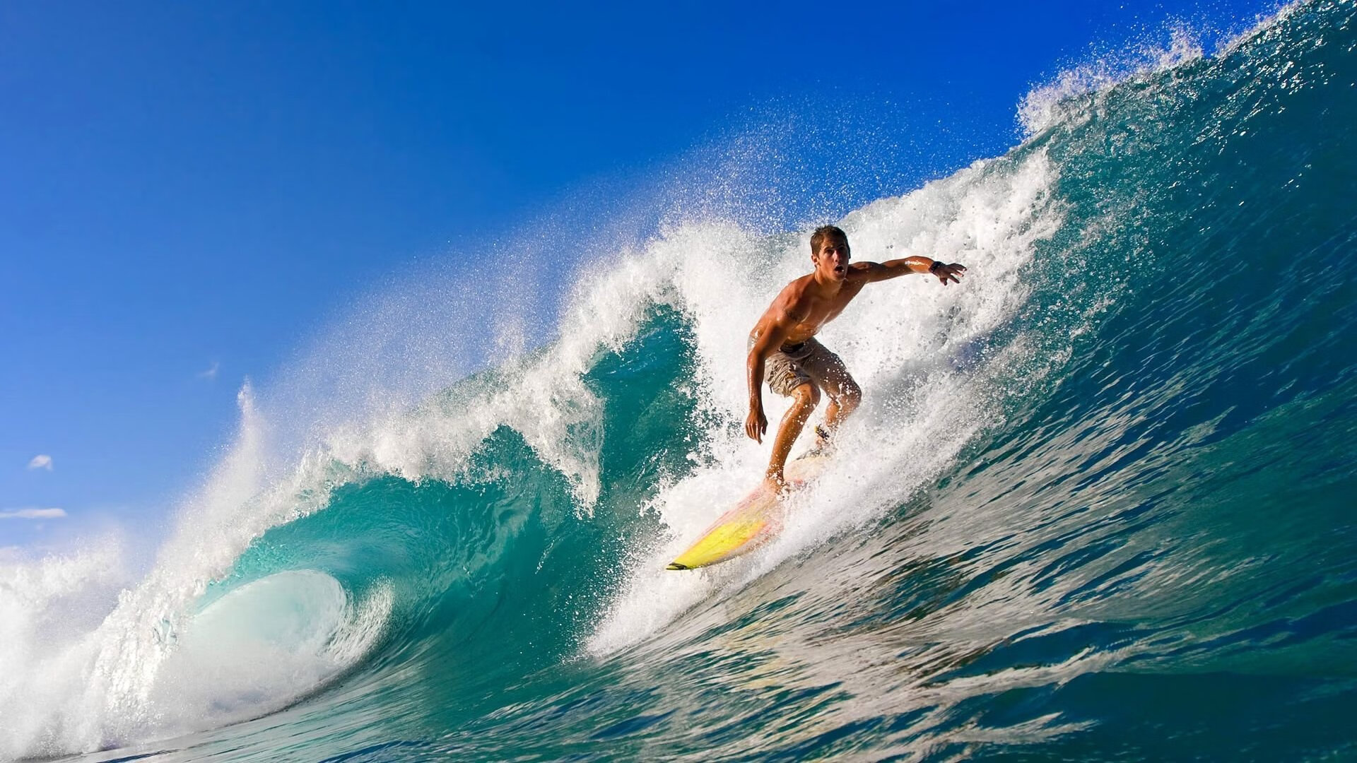 体育焦点栏目新一期上线，体育焦点栏目新一期上线了吗